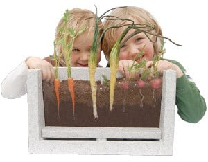 Root-Vue Scholastic Farm Kit for Pre K-5