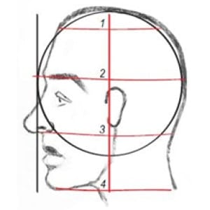 Drawing Profile Faces: Step 3