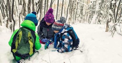 The Science of Snow: Incorporating Snow into Classroom Activities
