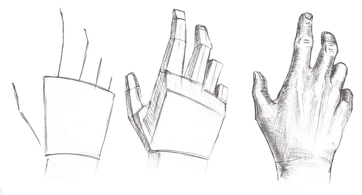 initial sketch of a hand in 3 parts