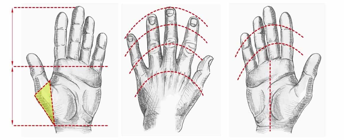 graphic showing a 3 part analysis of the hand shapes to aid in drawing a hand