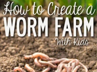 Creating a Worm Garden with Kids
