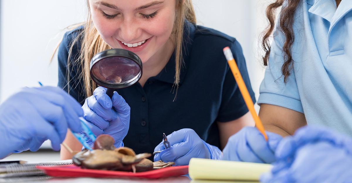 girl studying dissected frog