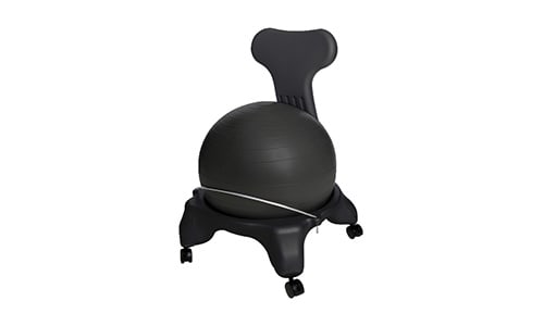 ball chair with back and wheels