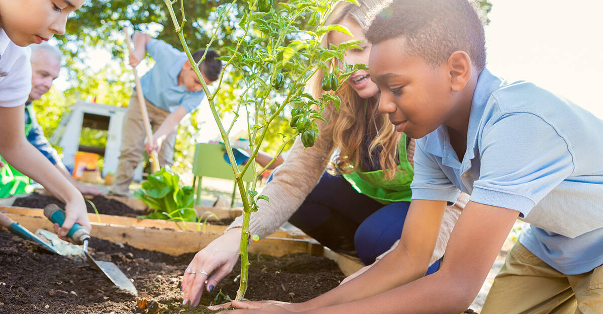 students planting garden plants for earth day