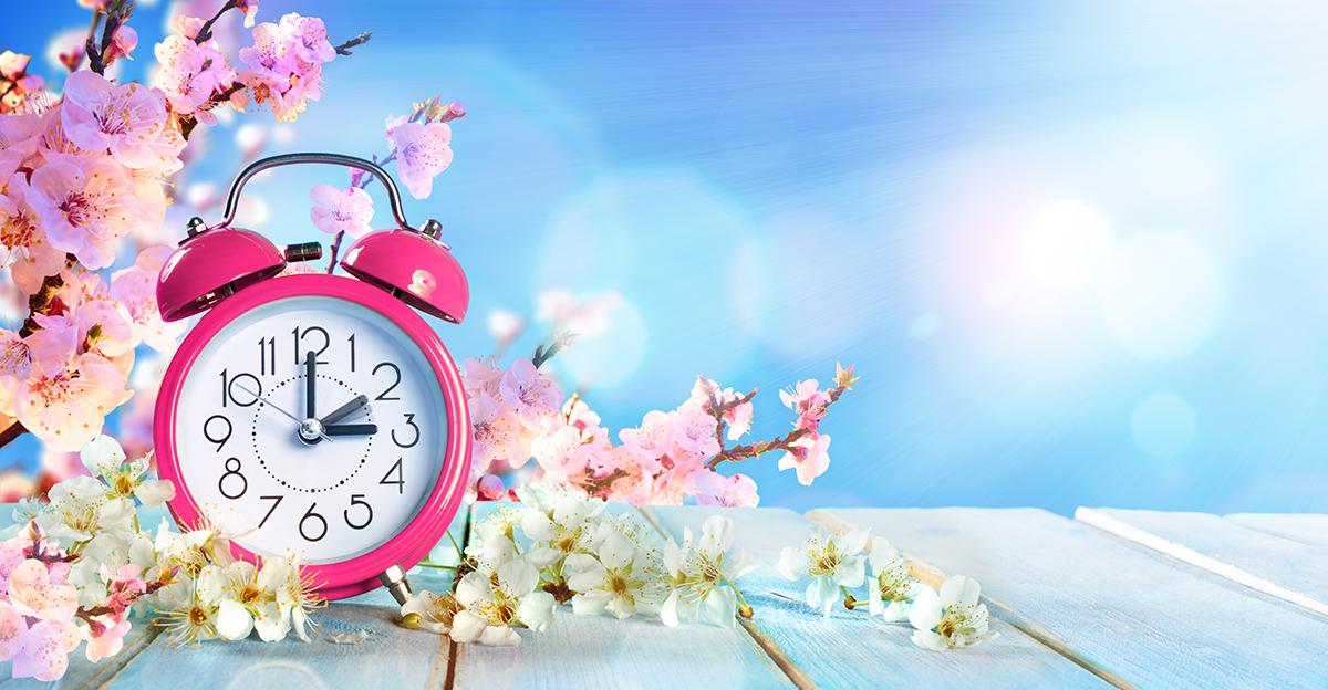pink retro analog alarm clock with spring flowers around it and sunlight beaming in