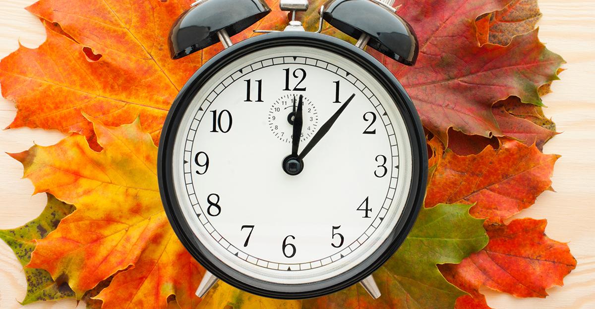 analog alarm clock on colorful fall leaves