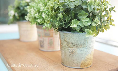 three plants in decorative pots