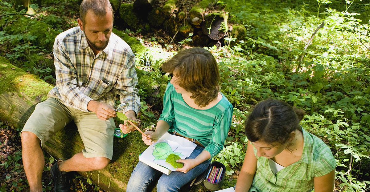 teacher helps students sketch leaves in a nature journal